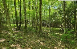 West Jefferson, NC 28694
