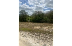 CLEFT ROCK ST, WEBSTER, FL 33597