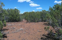 5 County Road 8077, Concho, AZ 85924