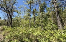Parcel C USFS 5196, Baldwin, MI 49304