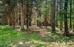 S Fenmore Road, Merrill, MI 48637