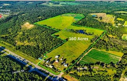12407 S US HIGHWAY 231, Cottonwood, AL 36320