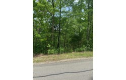 Silver Cliff Way, Branson West, MO 65737