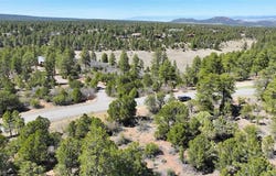 Canyon Drive, Ridgway, CO 81432