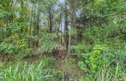 Creek Bend Rd, Georgetown, SC 29440