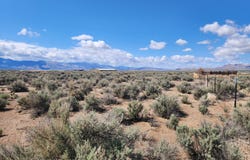 42 Acciari Road, Smith, NV 89430