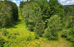 Fumee Lake Trail 7&8, Iron Mountain, MI 49801