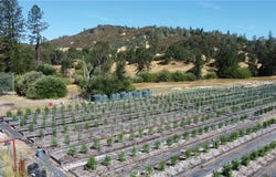 13095 Bottle Rock, Cobb, CA 95426