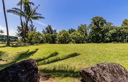 176 APAPANE RD, Hilo, HI 96720