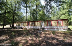 Holly Bush, Pelahatchie, MS 39145