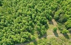 400 Trophy Ln, Hessel, MI 49745