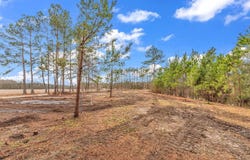 3930 Red Bluff Rd., Loris, SC 29569