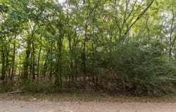 185 Hackberry, Bullard, TX 75757