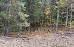 07 Route 120, Plainfield, NH 03781