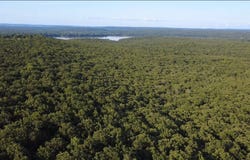 11927 S Crow rd, Webbers Falls, OK 74470