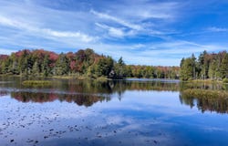 South Road E, Forestport, NY 13338