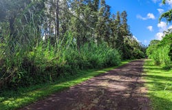 COOK ST, Pahoa, HI 96778