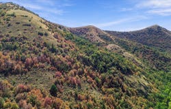 3000 E CANYON Rd, Smithfield, UT 84335