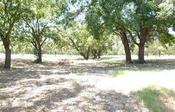 County Road 216, San Saba, TX 76877