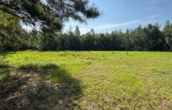 Highway 29, Brewton, AL 36420