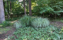 5323 HIGH WHEELS CT, COLUMBIA, MD 21044