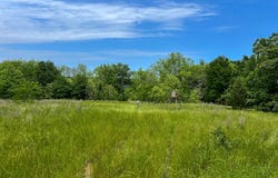 N 4220, No City, OK 74536