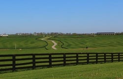 1455 Cane Ridge Road, Paris, KY 40361