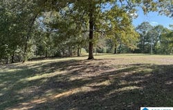 2111 BIG SPRINGS ROAD, WEST BLOCTON, AL 35184