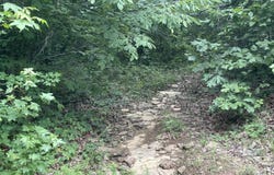 Sylvan Lane, Clinton, AR 72031