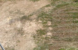 Aguada, Aguada, PR 00602