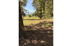 McKenzie Hwy, Springfield, OR 97477