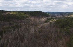 Polk Road 615, Mena, AR 71953