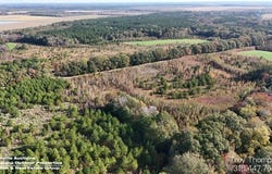 Burke Road, Hessmer, LA 71341