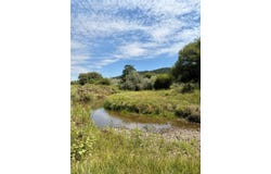 178 CR 11, Buena Vista, NM 87712