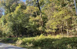 CROW Ln lot: 50, Bath Springs, TN 38311