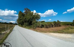 3392 Sand Mountain Rd, Enville, TN 38332