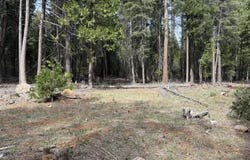 Westward Ho Road, Shingletown, CA 96088
