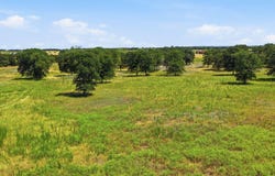 CR 475 lot: Tract 2, De Leon, TX 76444