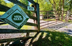 414 Niday Dr, Narrows, VA 24124