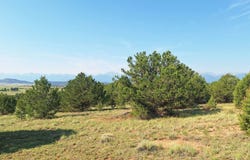 County Road 27A, Cotopaxi, CO 81223