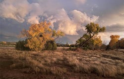 1030 NM 119, NM 87724