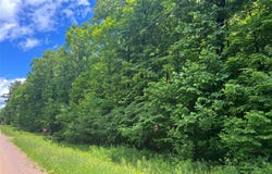 28 1/4 Street, Birchwood, WI 54817