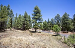 5330 E Nordica Loop, Flagstaff, AZ 86004