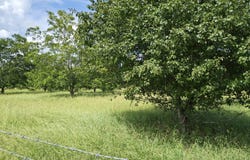 Pud Clack Rd, Oak Ridge, LA 71264