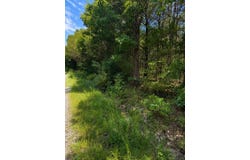 Falling Rock Road, Elkland, MO 65644