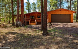 20 County rd N2120, Alpine, AZ 85920