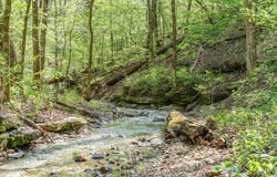 160 Old Horseshoe, Lampe, MO 65681