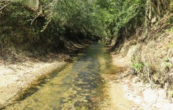 21471 N Fm 95, Garrison, TX 75946
