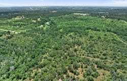 Burdette Wells Rd, Lockhart, TX 78644