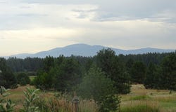 32002 N Spotted Rd, Deer Park, WA 99006